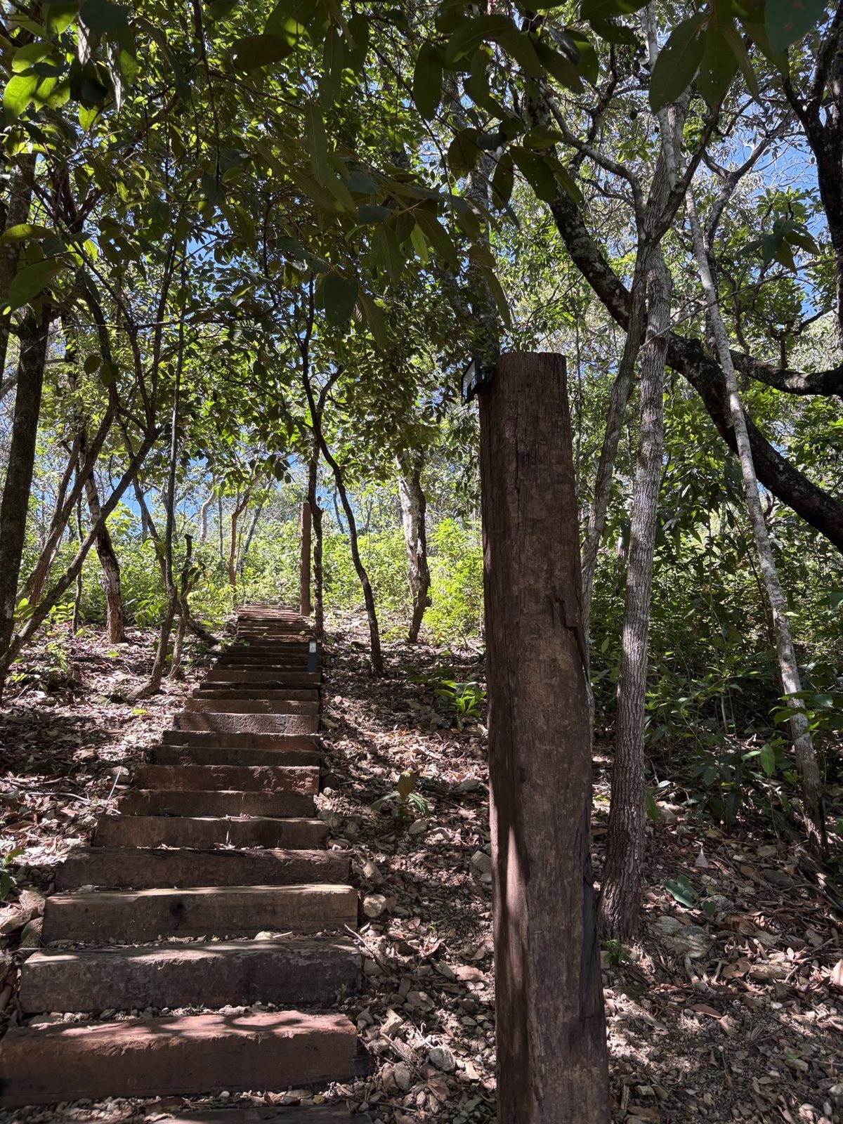 Escada de pedra em meio às árvores no acesso à propriedade