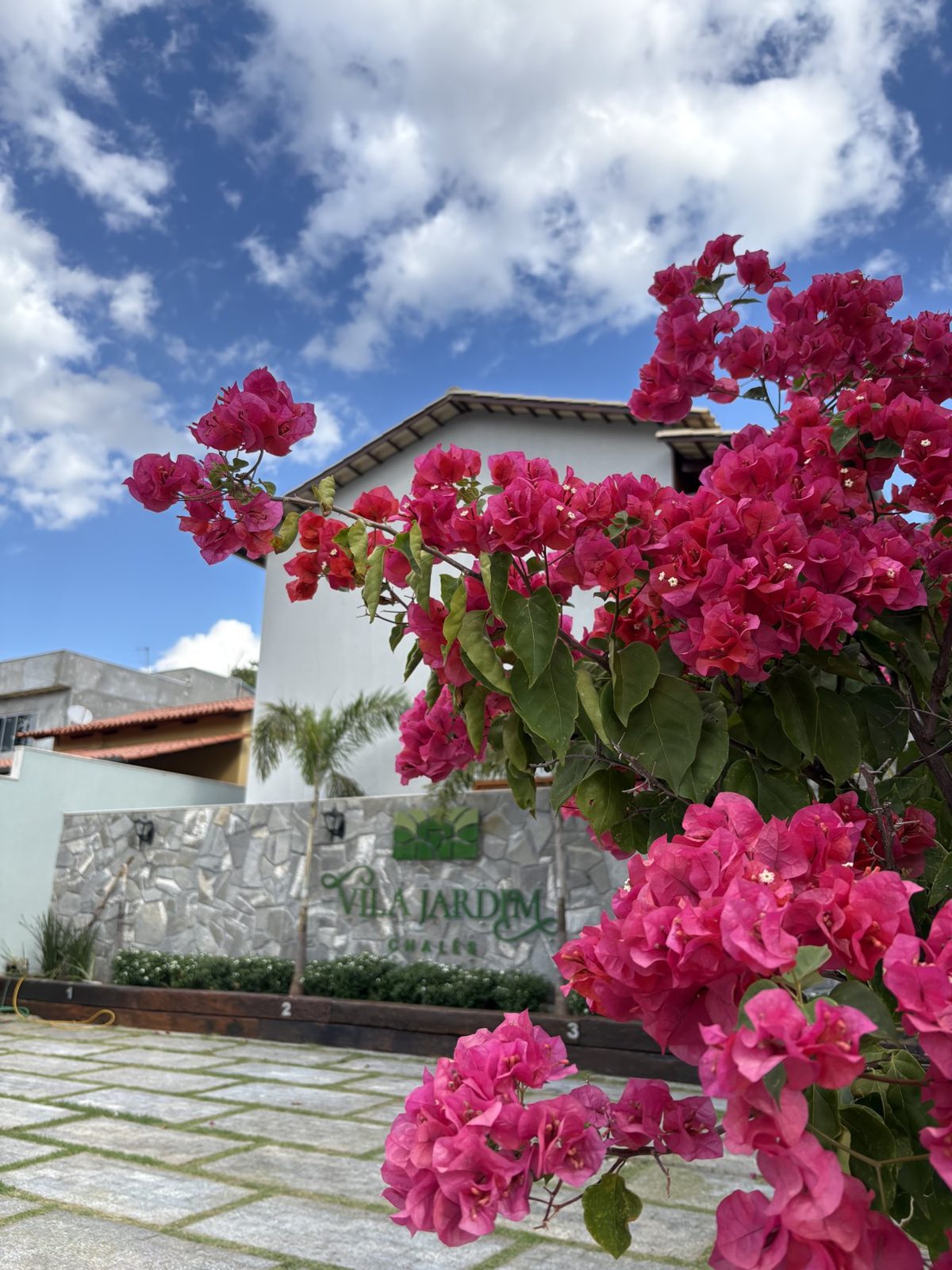 Buganvílias floridas sobre o muro de pedra da Vila Jardim
